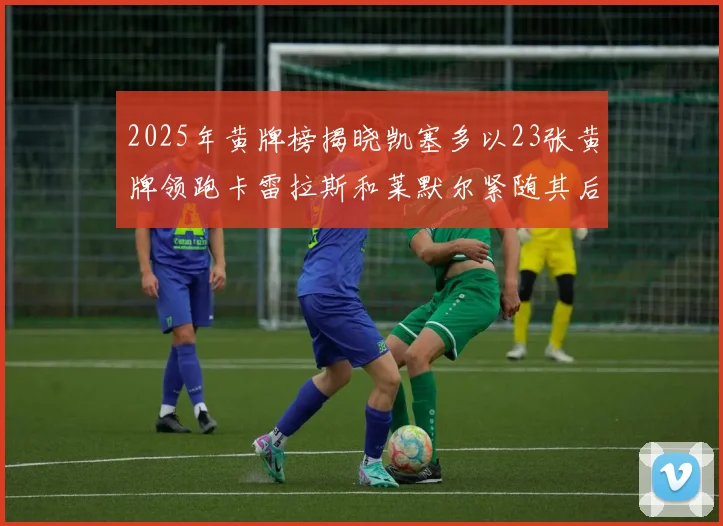 2025年黄牌榜揭晓凯塞多以23张黄牌领跑卡雷拉斯和莱默尔紧随其后