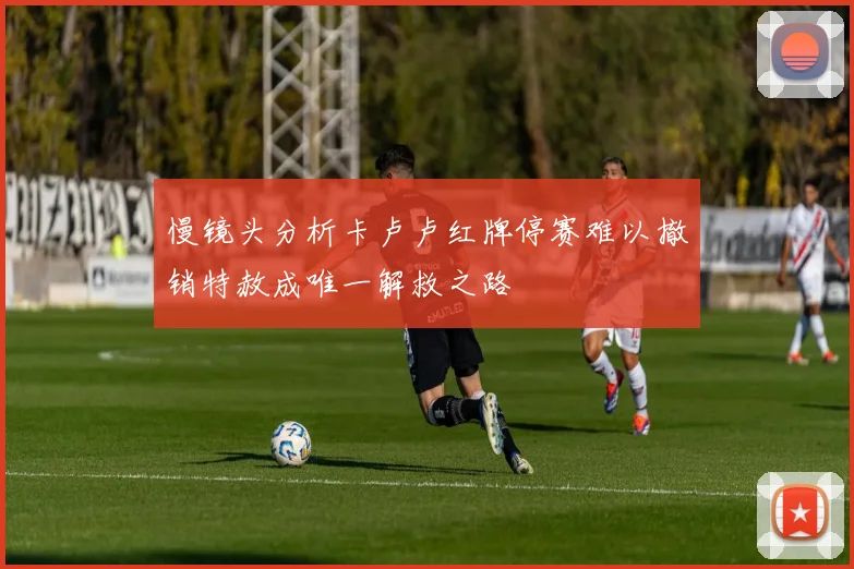 慢镜头分析卡卢卢红牌停赛难以撤销特赦成唯一解救之路